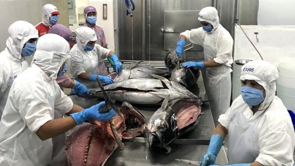 Strives to overcome challenges and sustain seafood export momentum